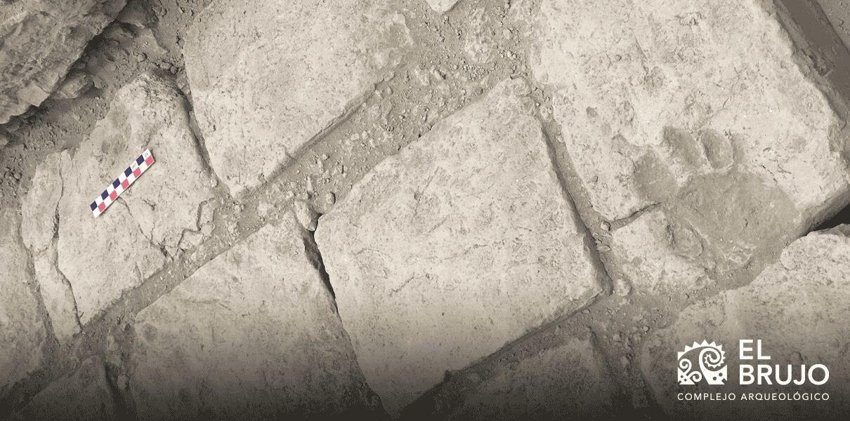 huella de perro y huella de pie humano